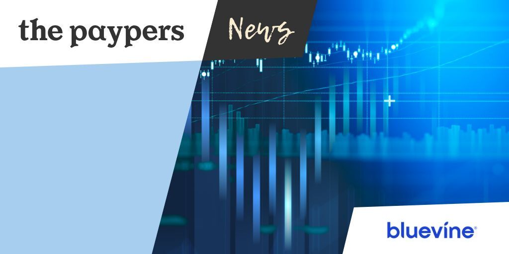 Bluevine opens US business accounts to international owners