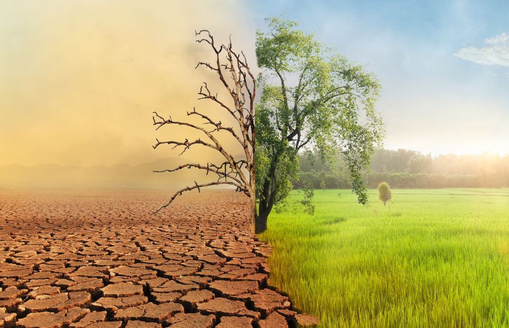 Blockchain and GreenFi - tools for climate action
